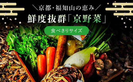 鮮度抜群「京野菜」　食べきりサイズ詰合せ  ふるさと納税 鮮度抜群 京野菜 野菜 京都府 福知山市 京都 福知山 ふるさと 奥京都 