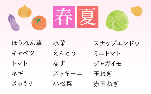 鮮度抜群「京野菜」　食べきりサイズ詰合せ  ふるさと納税 鮮度抜群 京野菜 野菜 京都府 福知山市 京都 福知山 ふるさと 奥京都 