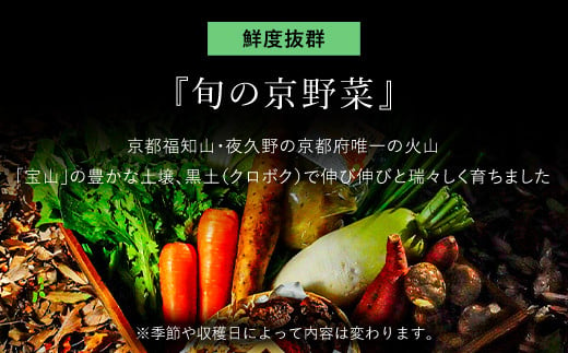 鮮度抜群「京野菜」　食べきりサイズ詰合せ  ふるさと納税 鮮度抜群 京野菜 野菜 京都府 福知山市 京都 福知山 ふるさと 奥京都 