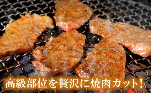 [№5738-0078]A5～A4等級 宮崎牛 サーロイン 焼肉 600g※配送不可：離島