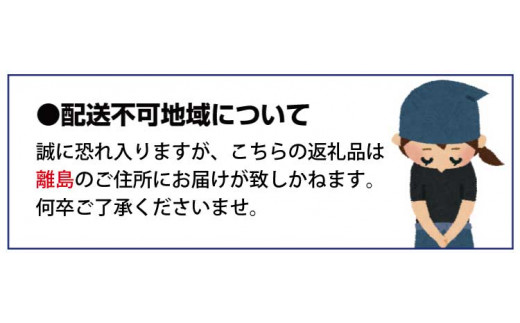 【先行予約】【数量わずか】樹上完熟しらぬい（不知火） 約2kg(6個) 秀品 2025年2月中旬～2025年3月中旬頃に順次発送予定（お届け日指定不可）/ 和歌山 みかん しらぬい 不知火 フルーツ 柑橘 蜜柑 果物 くだもの【kgr005】