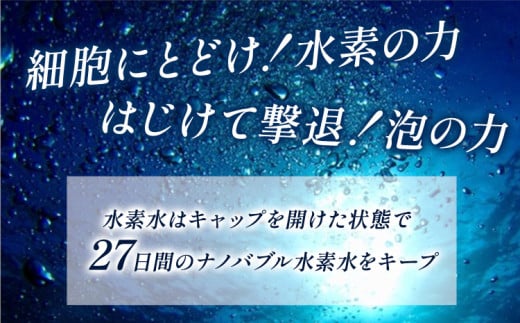 【6ヶ月定期便】ナノバブル水素水 ペットボトル(約500ml)×30本 株式会社ヒロシバ《30日以内に出荷予定(土日祝除く)》大阪府 羽曳野市 送料無料 水素水 肌 美容 健康 水