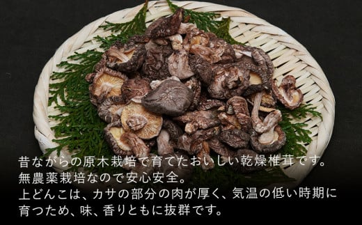 乾燥椎茸 国産 訳あり 小粒どんこ 50g×10パック 乾しいたけ 干し椎茸 原木椎茸 しいたけ 干しシイタケ 干ししいたけ 原木 大分県産 九州野菜 産地直送 九州産 中津市 送料無料