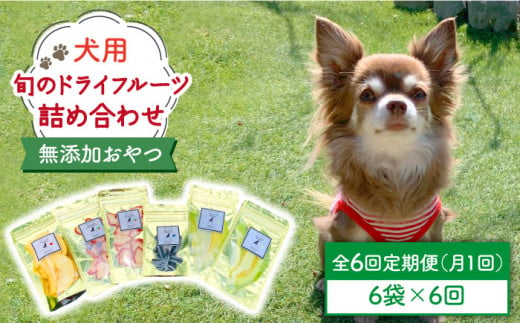 【6袋×6回定期便】犬の無添加おやつ☆お砂糖不使用 旬のドライフルーツ定期便（ペットフード） [FCG009]