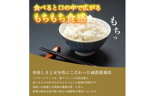 【令和6年産】新米 減農薬ミルキークイーン 精米 5kg【 米 ミルキークイーン 5キロ 精米 白米 こめ コメ お米 おこめ 減農薬 低農薬 農家直送 綾部 京都 森本ファーム 】