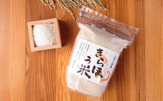 金田一う米「きらほ」 1.2kg×6袋 計7.2kg お米