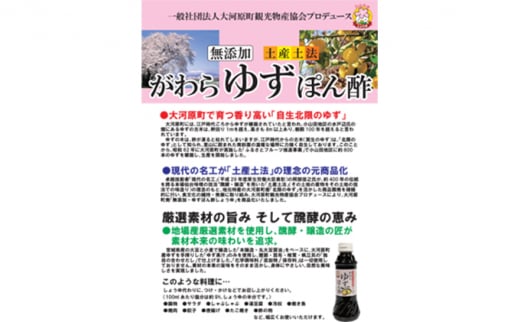 がわらゆずぽん酢しょうゆ300ml×6本セット