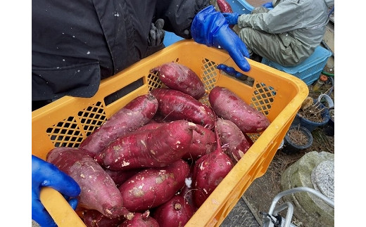 富永農園の干し芋バラ詰め1.8㎏（紅はるか）