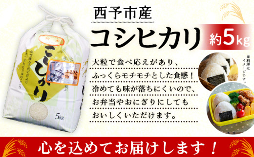 令和6年産　大竹農園　「コシヒカリ」５kg