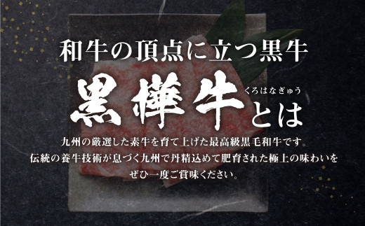 くまもと黒毛和牛 黒樺牛 A4～A5等級 ローススライス すき焼き用 250g