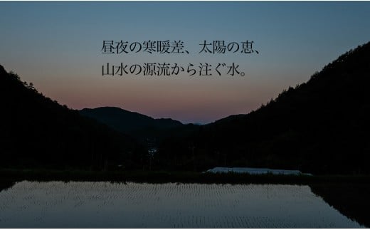 【2024年産米】〈山水育ち〉いのちの壱・コシヒカリ・ミルキークイーン食べ比べセット（各2合×2袋）精米 お米 令和6年産 下呂温泉 米 下呂市 かみはら山水農園