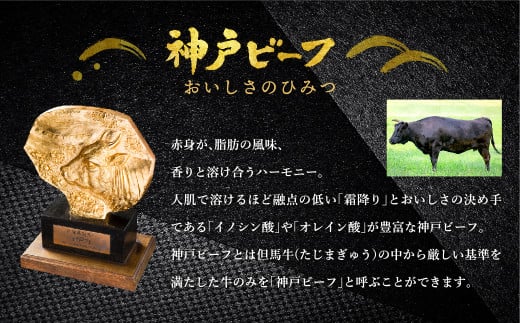 神戸牛 ロースステーキ 600g【200g×3枚】牛肉 ステーキ ロース 霜降り ステーキ肉 但馬牛 黒毛和牛 和牛 国産牛 赤身 ステーキ 牛 肉 焼肉 太田牧場 太田牛 神戸ビーフ TYST5【但馬牛太田家】