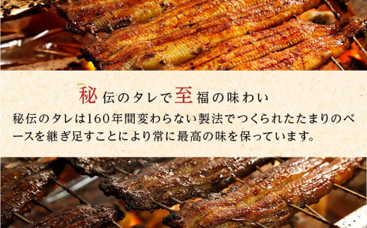 ひつまぶし店『まるや本店』名古屋うなぎづくしセット【うなぎ 鰻 魚介類 水産 食品 人気 おすすめ ギフト 冷凍 お土産 愛知県 長久手市 AD06】