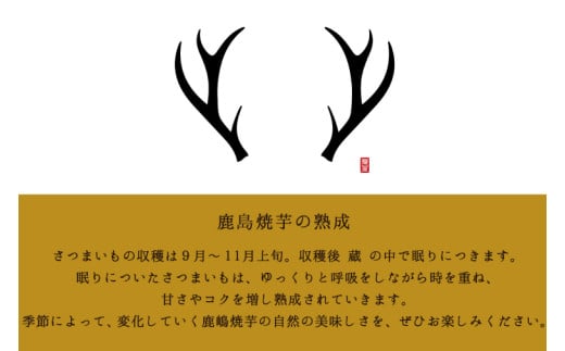 【数量限定】【12月以降順次発送】鹿島焼芋 特選 吟 2kg【冷蔵 ひやし 焼き芋 やきいも さつまいも 芋 お菓子 おやつ デザート スイーツ 和菓子 和スイーツ 鹿嶋市 茨城県】 （KBK-44）