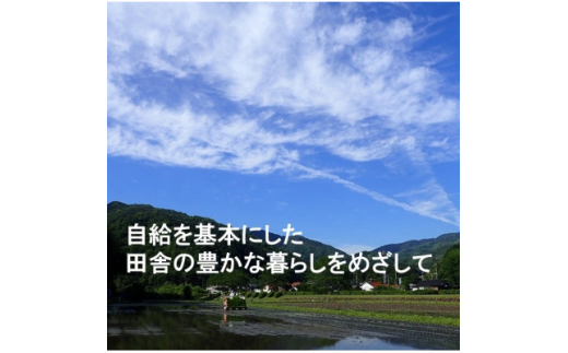 ＜毎月定期便＞栽培期間中化学肥料・化学農薬不使用 R1米コシヒカリ5kg(精米)全3回【4057270】