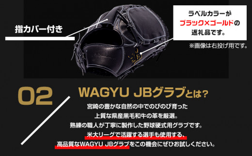 宮崎県産牛革使用 WAGYU JB 硬式用 グラブ 投手用 JB-001Y(ブラック/左投げ用)_M147-007_01