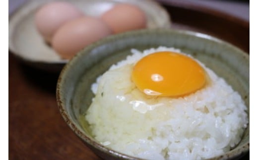 裏庭の土佐ジロー有精卵 25個入りパック