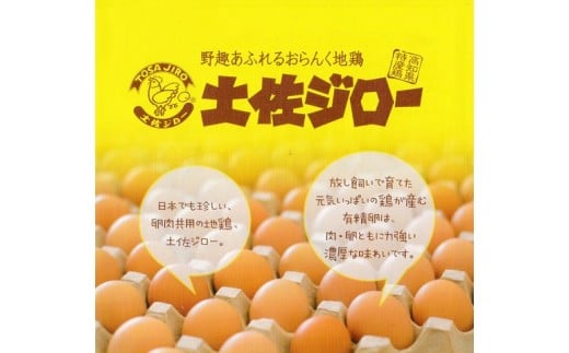 裏庭の土佐ジロー有精卵 25個入りパック