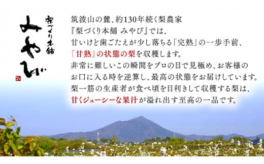 極上の雫 『 豊水 』 5kg ( 自家用 ) 2025年産 先行予約 フルーツ 果物 国産 日本産 梨 ナシ なし 和梨 [DJ002ci]