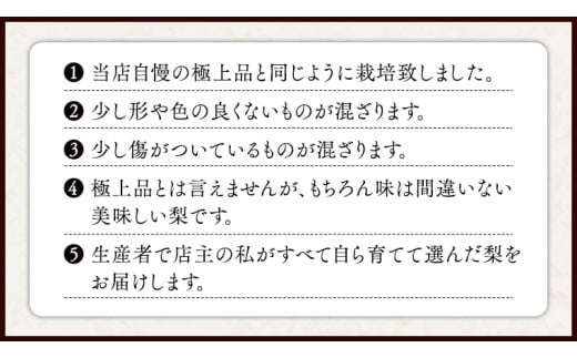 極上の雫 『 豊水 』 5kg ( 自家用 ) 2025年産 先行予約 フルーツ 果物 国産 日本産 梨 ナシ なし 和梨 [DJ002ci]