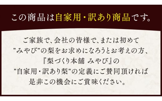 極上の雫 『 豊水 』 5kg ( 自家用 ) 2025年産 先行予約 フルーツ 果物 国産 日本産 梨 ナシ なし 和梨 [DJ002ci]