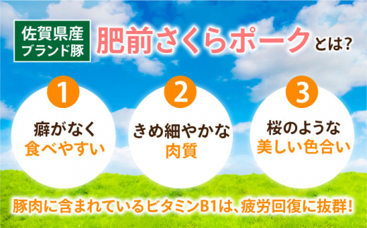 【3回定期便】＜毎日のお料理に便利に使える♪＞肥前さくらポーク こま切れ 1kg （500g × 2パック） 佐賀県産 国産豚肉 小間 小分け 吉野ヶ里町/アスタラビスタ [FAM029]