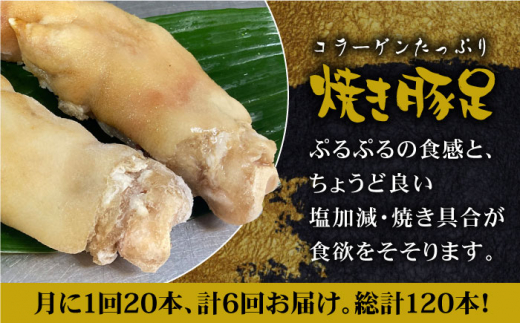 ≪地元人気店の味≫とろけるとんそく【6回定期便】国産焼き豚足たっぷり20本セット×6回【やきとり紋次郎】 [FCJ026]