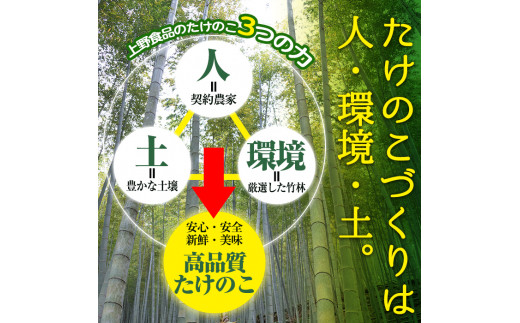 ＜内容量が選べる！＞国産味付タケノコキムチ(100g×2パック) 国産 筍 辛味 ピリ辛 焼肉 おかず おつまみ キムチ メンマ めんま お試し 常温保存【上野食品】a-3-1