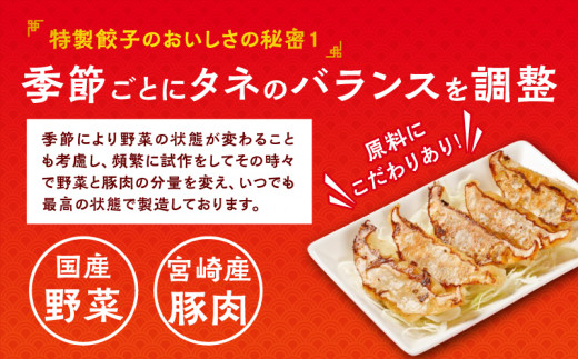 悠瑠里特製餃子60個&鶏餃子60個 食べ比べセット_M293-006