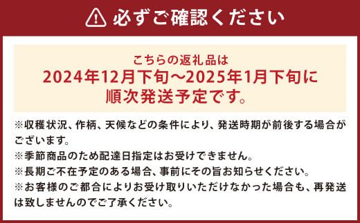 訳あり りんご （シナノゴールド） 10kg