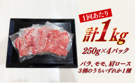 【全3回定期便】【訳あり】 長崎和牛（バラ、モモ、肩ロースのいずれか）1kg 切り落とし 250g×4P 小分け 【株式会社時愉亭】 [RCE011]