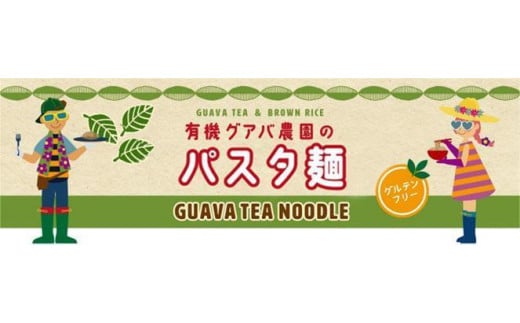 有機グアバ農園のグルテンフリー玄米麺 100g×3袋セット【グルテン フリー ダイエット 健康 食品  人気 おすすめ 高知県 南国市】