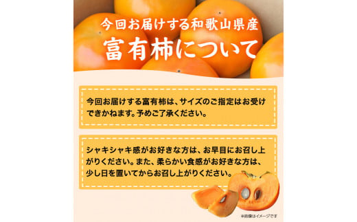 甘柿の王様 和歌山産 富有柿 約 7.5kg サイズおまかせ 厳選館 《2024年11月上旬-12月下旬頃出荷》 和歌山県 日高川町 柿 カキ かき ジューシー フルーツ