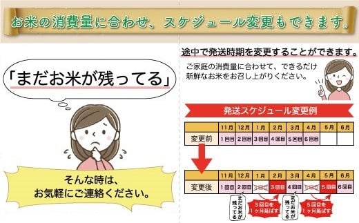 ＜令和6年産米＞ 鮭川村 つや姫 【無洗米】 60kg 定期便（10kg×6回発送）＜配送時期選べます＞