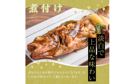 小泊港水揚げ 津軽海峡メバル 姿3尾 ※下処理済み 【卓立水産】魚 海鮮 ウスメバル メバル めばる 津軽海峡 1尾 丸ごと 津軽海峡 高級 海産物 刺身 煮付け 中泊町 青森 F6N-020