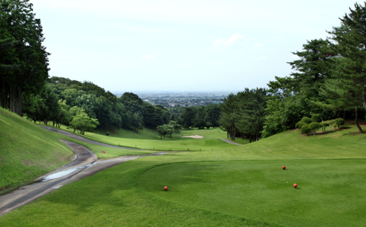 ＜土日祝＞北武蔵CC 土日祝ゴルフプレー券 (1枚) ゴルフ プレー券 1ラウンド 1名 土日祝 北武蔵カントリークラブ ゴルフ場 スポーツ ギフト 贈り物 関東 F5K-227