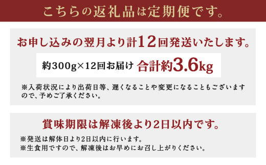 長崎県産 本マグロ「中トロ」