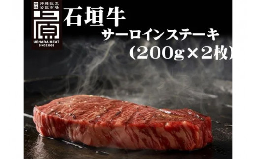 石垣牛 サーロインステーキ 400g（約200g×2）（AG017）