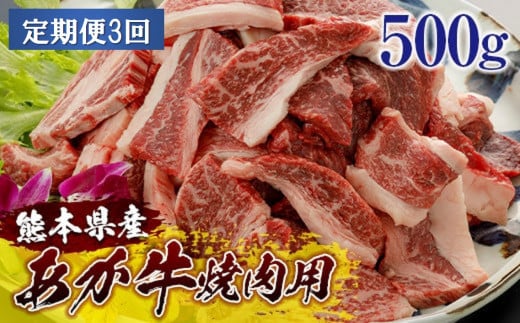 [2024YNT3]熊本県産和牛あか牛焼肉用500ｇ＜定期便3回＞