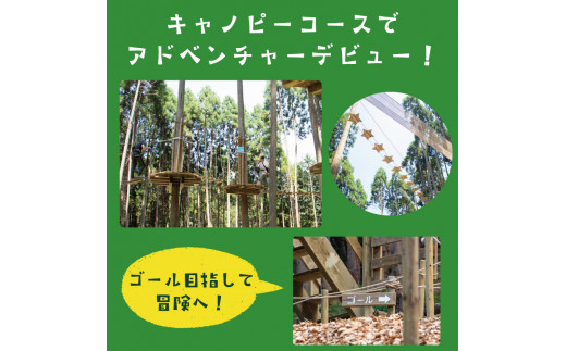 家族みんなで楽しめる！キャノピーコース 1名様体験チケット [a0410] 株式会社 FOREST DEN 【返礼品】添田町 ふるさと納税