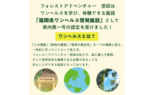 家族みんなで楽しめる！キャノピーコース 1名様体験チケット [a0410] 株式会社 FOREST DEN 【返礼品】添田町 ふるさと納税