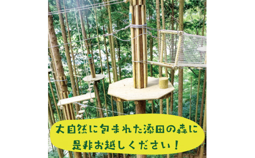 家族みんなで楽しめる！キャノピーコース 1名様体験チケット [a0410] 株式会社 FOREST DEN 【返礼品】添田町 ふるさと納税