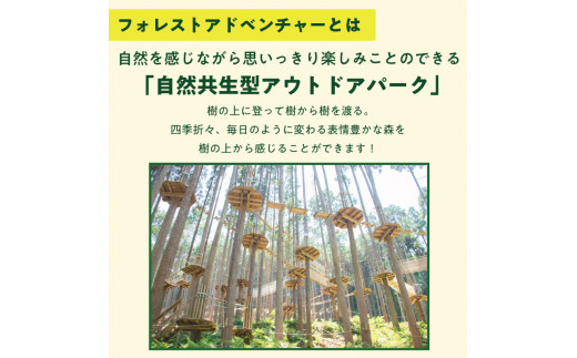 家族みんなで楽しめる！キャノピーコース 1名様体験チケット [a0410] 株式会社 FOREST DEN 【返礼品】添田町 ふるさと納税