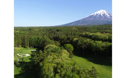 【富士山】フォレスト鳴沢ゴルフ＆CC　2025年シーズンご利用券15000円分 NSB001