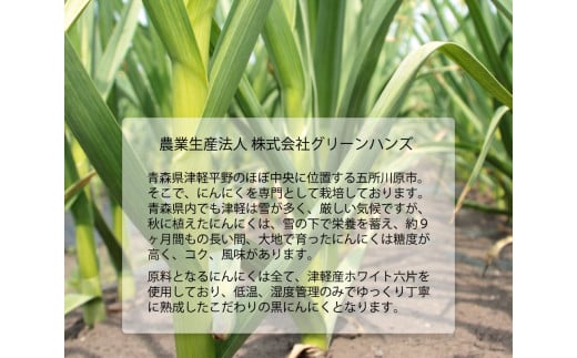 【定期便 6ヶ月】【訳あり】 青森 県 産 熟成 黒にんにく バラ 500g 五所川原市 【グリーンハンズ】