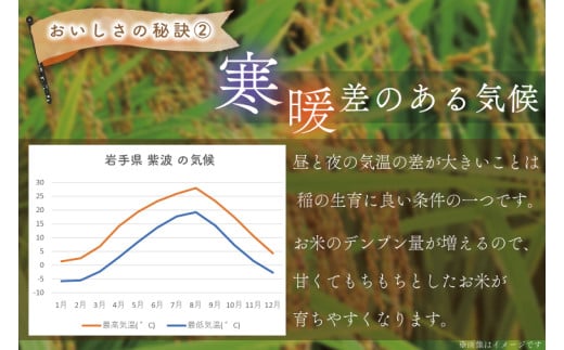 【令和6年産】ひとめぼれ 10kg 【2ヶ月定期】【特別栽培米】 岩手県 紫波町産 (AC027)