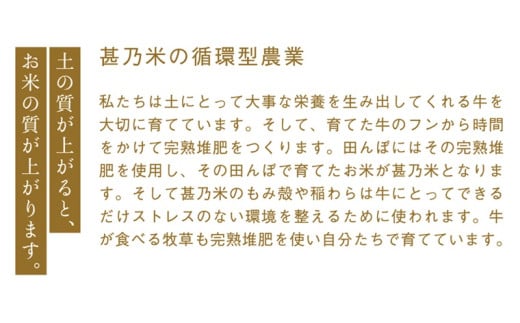 【令和6年産】ひとめぼれ 10kg 【2ヶ月定期】【特別栽培米】 岩手県 紫波町産 (AC027)