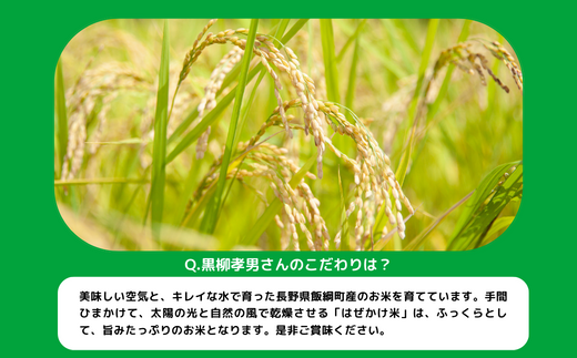 [0211]【令和6年度収穫分】こしひかり 10kg　※沖縄および離島への配送不可　※2024年11月上旬頃から順次発送予定　黒柳さんのはぜかけ米　長野県飯綱町