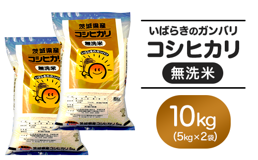 152 無洗米 コシヒカリ 10kg 5kg × 2袋 令和6年 茨城県産