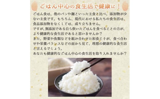 【令和５年産 山田錦】白米５kg（５kg×1袋）【５営業日以内に発送】(13-32)